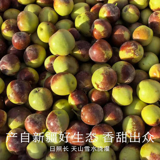 南食召 冬月干枣 商品图2