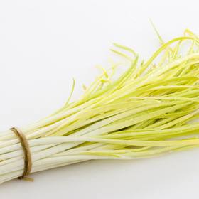 蒜黄 约250g-300g  买放心菜就上瑞和泰