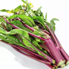 红菜苔 约250g-300g  买放心菜就上瑞和泰 商品缩略图0