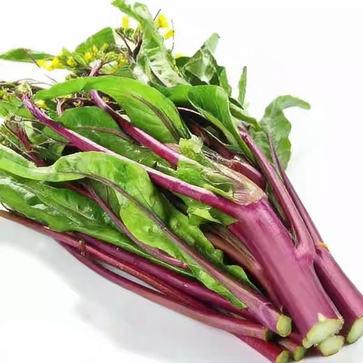 红菜苔 约250g-300g  买放心菜就上瑞和泰 商品图0