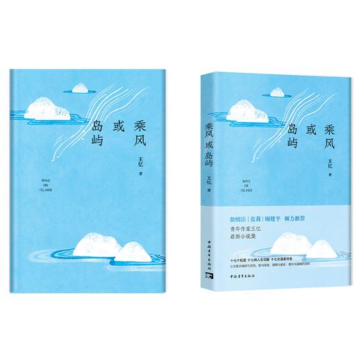 乘风或岛屿 王忆著 中国青年出版社 商品图5