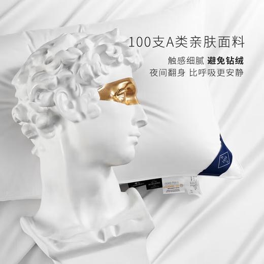 康尔馨 100S全棉A类希尔顿羽绒枕芯 单只74*48cm 商品图1