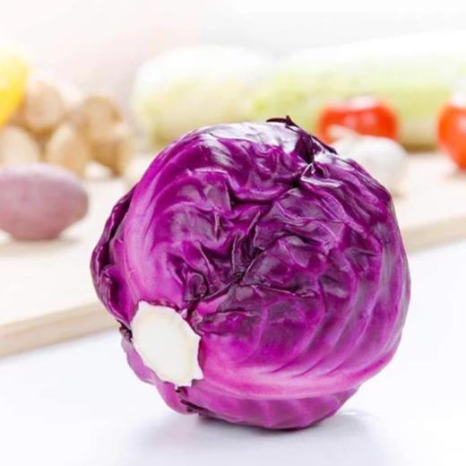 精选紫包菜  整颗 约500g-550g  买放心菜就上瑞和泰 商品图0