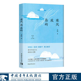 乘风或岛屿 王忆著 中国青年出版社