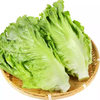 大利精选生菜 约350g-400g  买放心菜就上瑞和泰 商品缩略图0