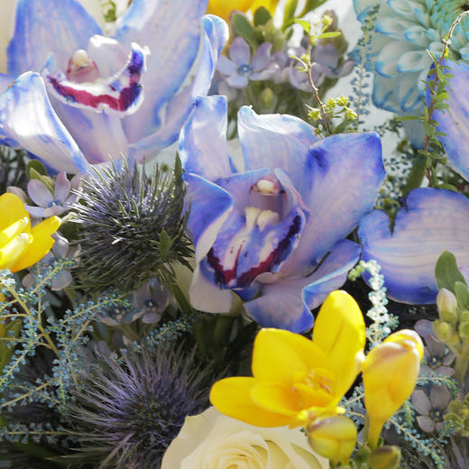 水瓶座4款幸运花束｜十二星座随心定制系列 商品图6