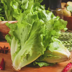 大利生菜 约250g-300g  买放心菜就上瑞和泰