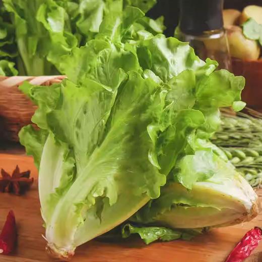 大利生菜 约250g-300g  买放心菜就上瑞和泰 商品图0