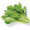 嫩嫩鸡毛菜约250g-300g  买放心菜就上瑞和泰 商品缩略图0