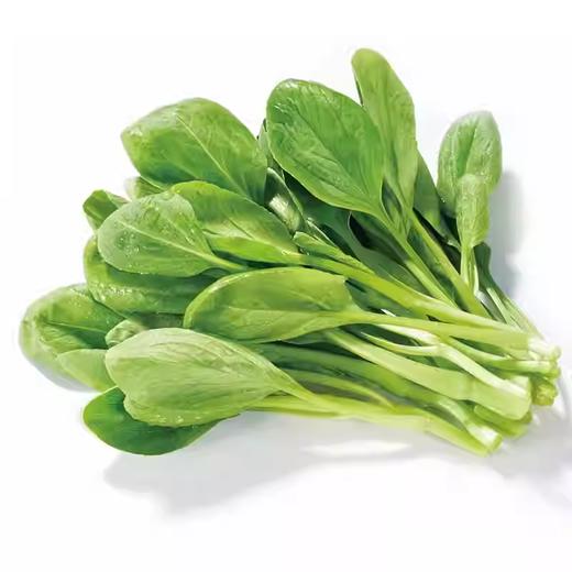 嫩嫩鸡毛菜约250g-300g  买放心菜就上瑞和泰 商品图0