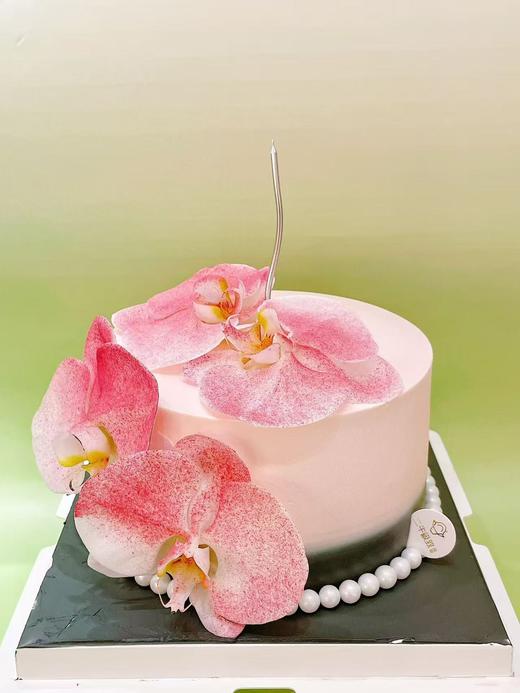 蝴蝶兰 商品图2