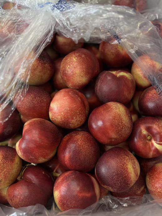 智利进口白油桃6枚散装🍑超级脆甜，滑爽可口！高甜度！！ 商品图1