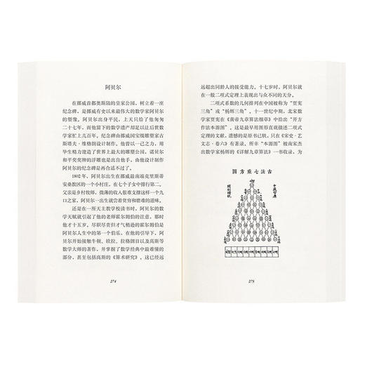 《数学平话：从黎曼假设到无穷大》五个专题的数学断代史，窥探近代文明进步轨迹 贾辉军 读库 商品图2