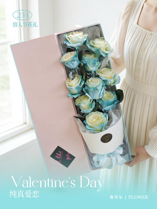 纯真爱恋（厄瓜多尔玫瑰） 商品图1