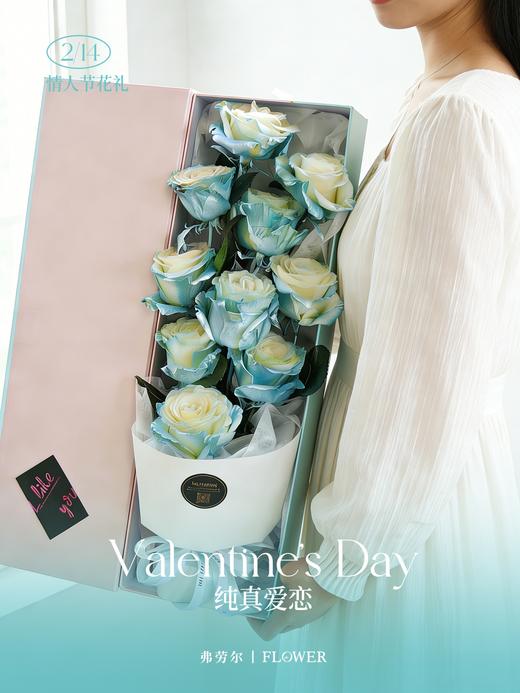 纯真爱恋（厄瓜多尔玫瑰） 商品图0