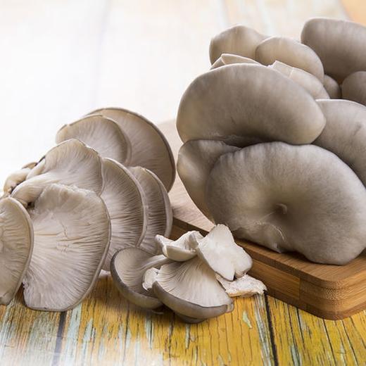 河北平菇  约250g-300g 买放心菜就上瑞和泰 商品图1