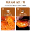 山东烟薯25号家庭装一件包邮【水果】ZY 商品缩略图3