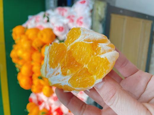 活动丑橘5斤 商品图1