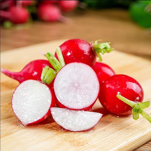 樱桃萝卜  约450g-500g 买放心菜就上瑞和泰 商品图0