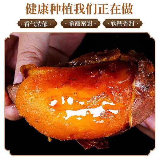 山东烟薯25号家庭装一件包邮【水果】ZY 商品图4