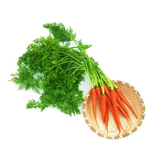 带缨手指萝卜  约250g-300g 买放心菜就上瑞和泰 商品图0