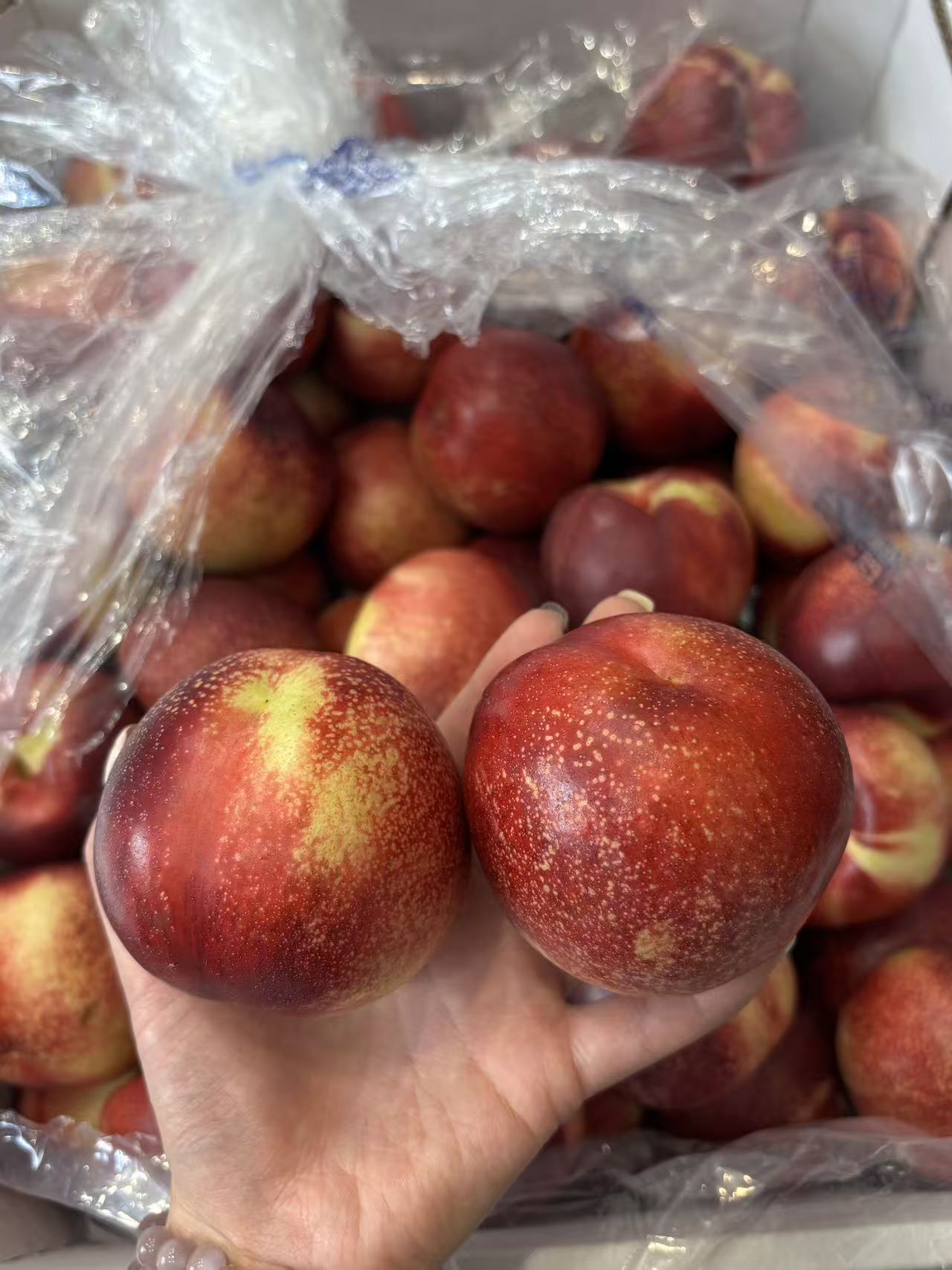 澳洲白油桃6枚散装🍑