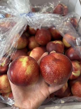 智利进口白油桃6枚散装🍑超级脆甜，滑爽可口！高甜度！！