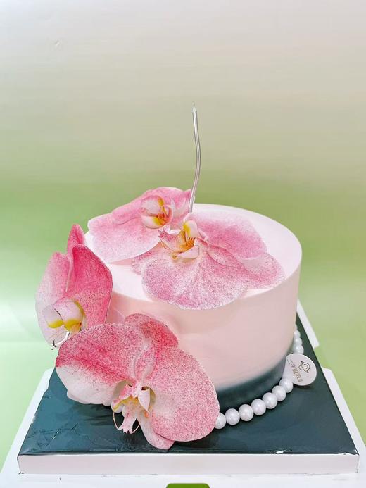 蝴蝶兰 商品图0