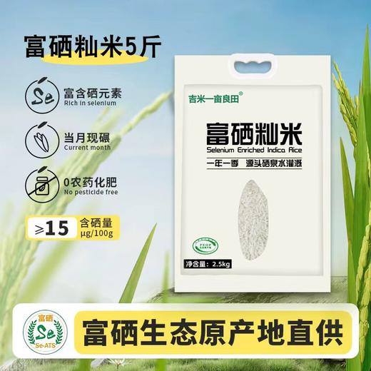 吉内得长粒富硒籼米2.5kg装5斤装籼米长粒香米真空包装 商品图2
