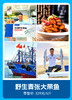 东山岛野生海鲜套餐 商品缩略图2