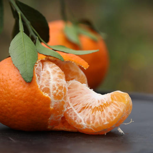 【甘平柑橘】顺丰/京东到家 柑橘类的天花板 酸甜无渣 个大饱满 汁水丰盈 醇香浓郁 果肉粒粒分明 入口爆汁 4种规格任选 商品图9