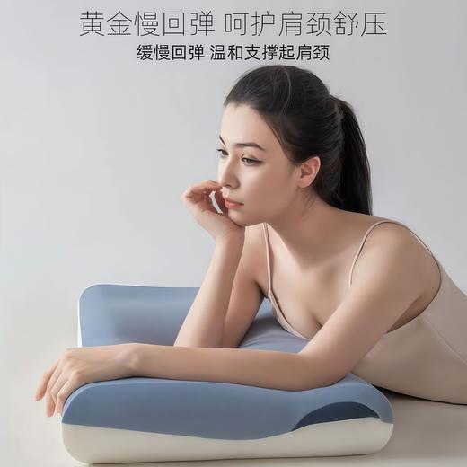【武汉老字号】汉棉 汉棉枕芯45 x70cm 商品图1