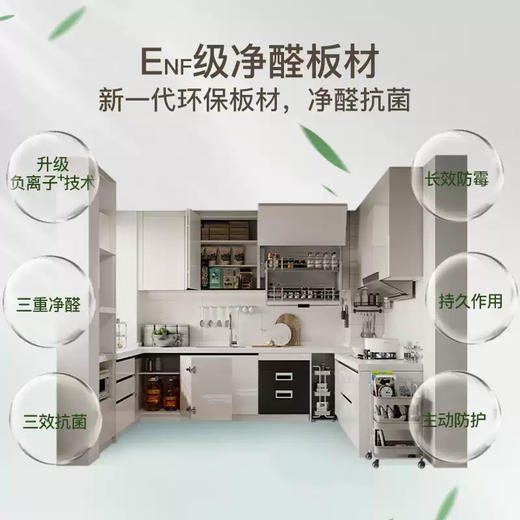 【好莱客】省心柜_橱柜定制_最新国标环保ENF级_定金【佛山】【保利珺悦府】 商品图4