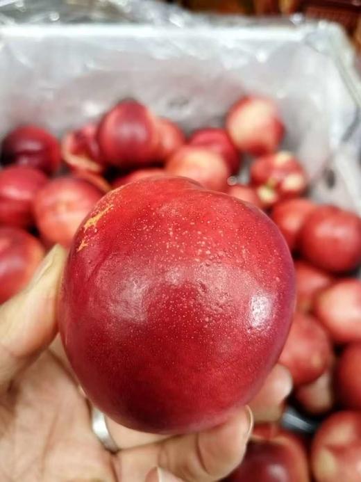 智利进口白油桃6枚散装🍑超级脆甜，滑爽可口！高甜度！！ 商品图4