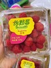 怡颗莓树莓一盒 商品缩略图0
