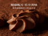 ADOL 珍妮曲奇巧克力味180g*1罐（不含拎袋） 商品缩略图4
