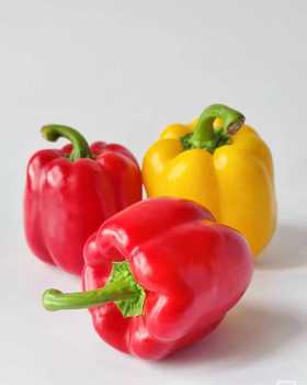 双色彩椒