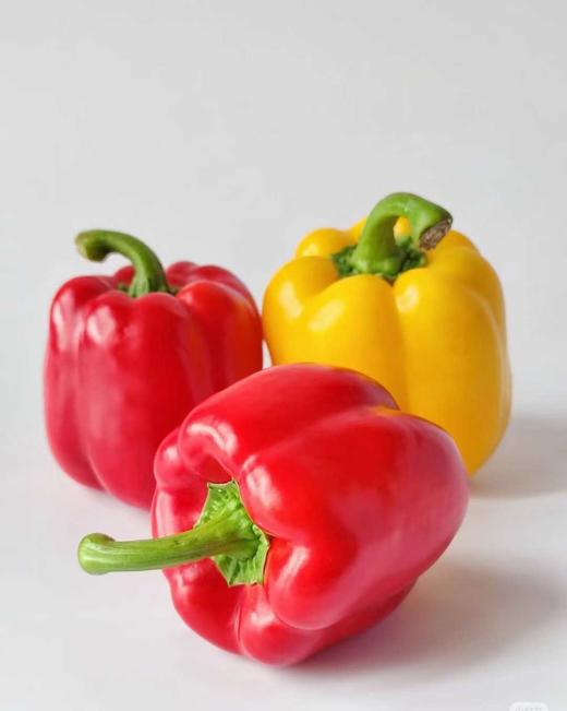 双色彩椒 商品图0