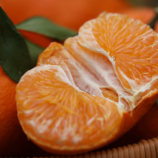 【甘平柑橘】顺丰/京东到家 柑橘类的天花板 酸甜无渣 个大饱满 汁水丰盈 醇香浓郁 果肉粒粒分明 入口爆汁 4种规格任选 商品图10