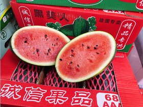 黑美人一个
