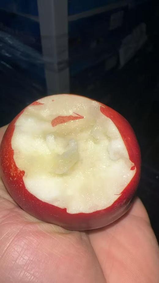 智利进口白油桃6枚散装🍑超级脆甜，滑爽可口！高甜度！！ 商品图2