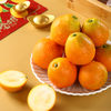 大凉山高山脆蜜金桔 - 甜脆爆汁家庭装/礼盒装【水果】ZY 商品缩略图2