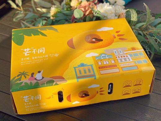 海南三亚金煌芒 芒果5斤特级精品 商品图0