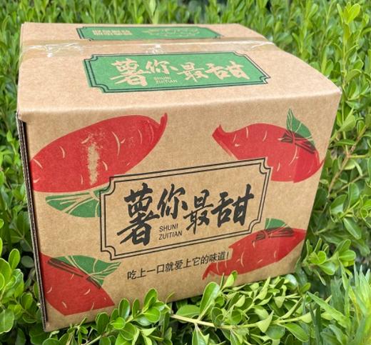 山东烟薯25号家庭装一件包邮【水果】ZY 商品图6