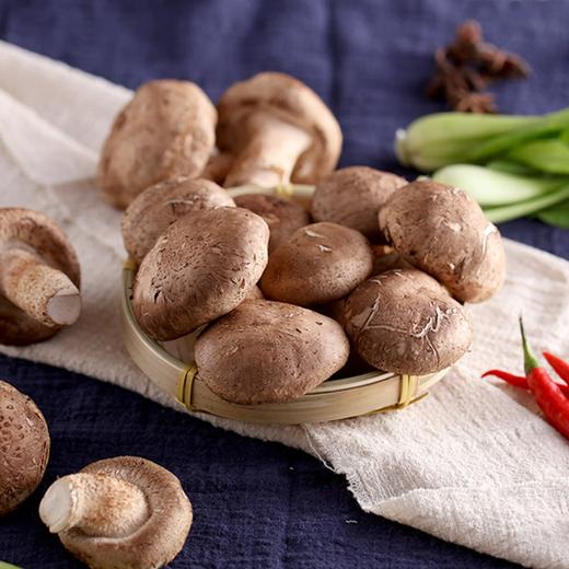 河南香菇 250g-300g 买放心菜就上瑞和泰 商品图0