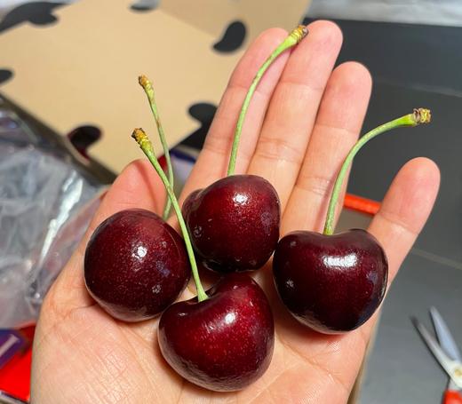 【超脆超甜】瑞吉娜黑车厘子 2JD 商品图0