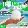 哇迪卡 椰子蛋500g/桶 冷冻椰肉椰子水 商品缩略图3