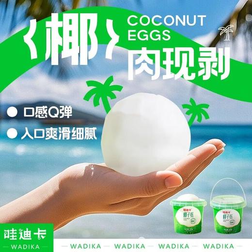哇迪卡 椰子蛋500g/桶 冷冻椰肉椰子水 商品图3
