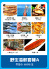 东山岛野生海鲜套餐 商品缩略图3
