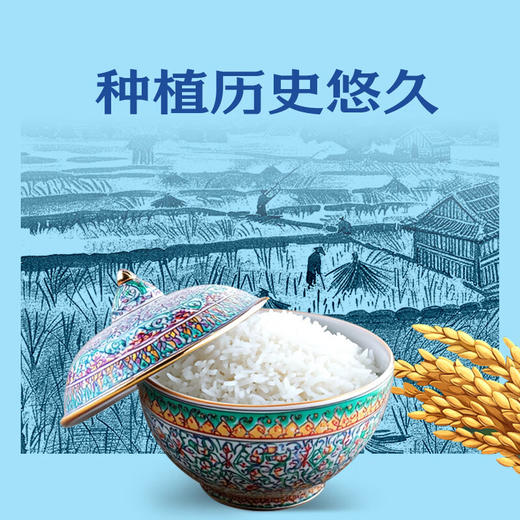 中粮福临门小站稻香米5kg【GY】 商品图2
